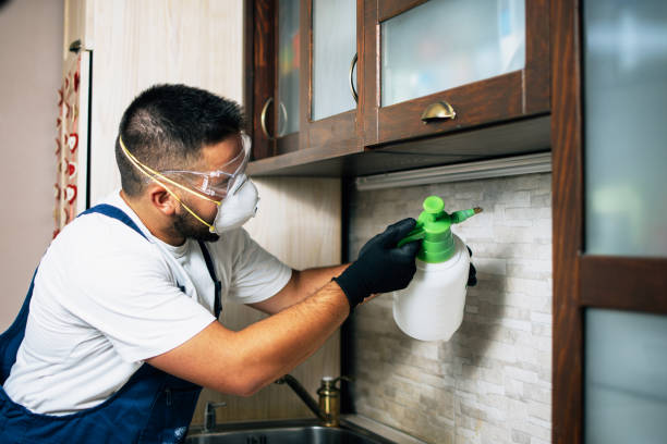 Best Flea Control Services  in Hotchkiss, CO