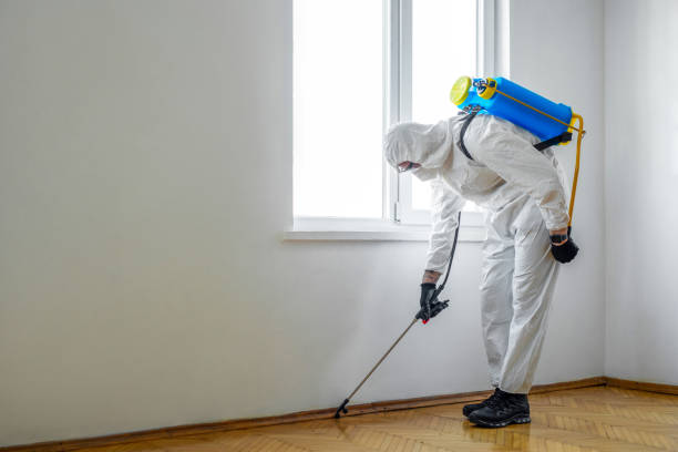 Best Best Pest Control Companies  in Hotchkiss, CO