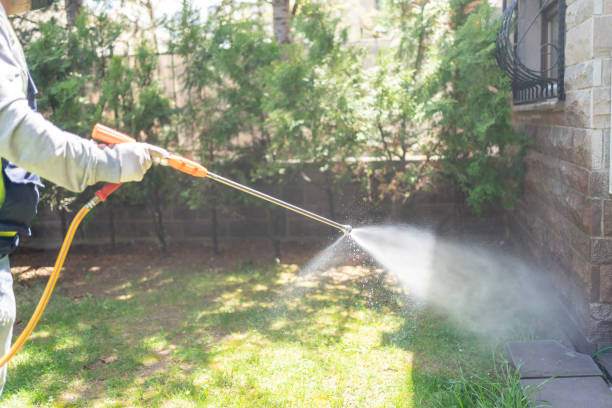 Pest Control for Restaurants in Hotchkiss, CO