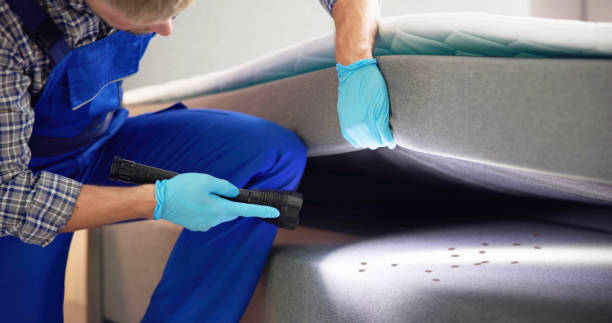 Best Rat Extermination Near Me  in Hotchkiss, CO